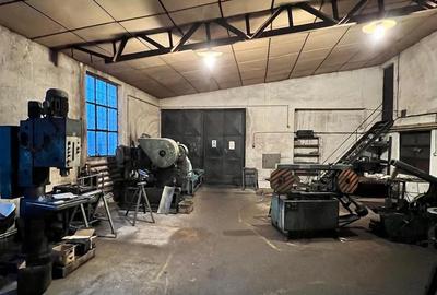 Spațiu comercial, de 1,600 mp, în Viișoara - 6