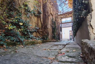 DE VÂNZARE – Spațiu de alimentație publică 53mp+111mp teren - 15