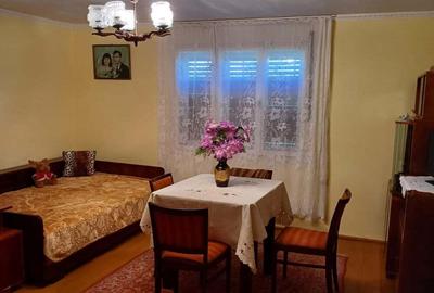 Casă cu 2 camere cu Teren 3150 Mp în Șanovița - 4