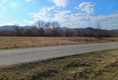 Spațiu comercial, în Bologa - 1