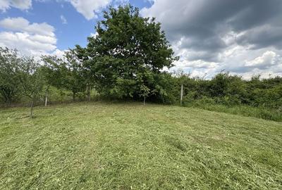 Spațiu comercial, în Centura - 2