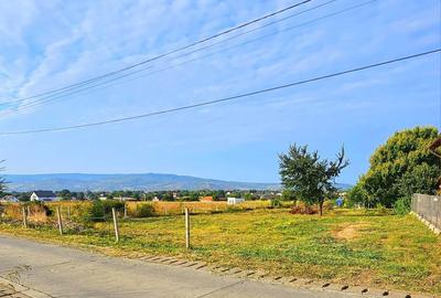 Teren de 1900 mp, în Holboca - 4