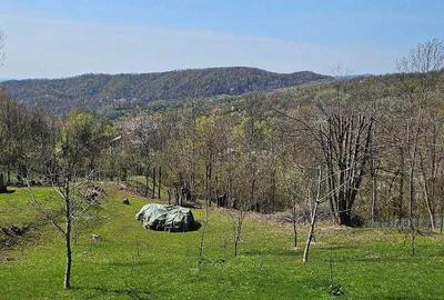 Spațiu comercial, în Buștenari - 3