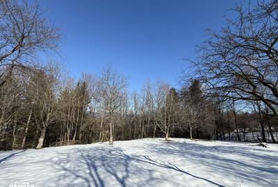 Spațiu comercial, în Bran - 4