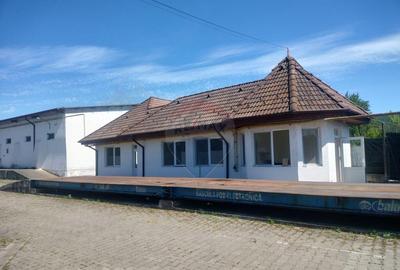 Spa?iu industrial de vanzare in Sangeorgiu de Padure... - 18