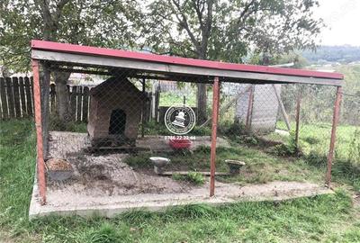 Teren de 6800 mp, în Mogoșești - 11