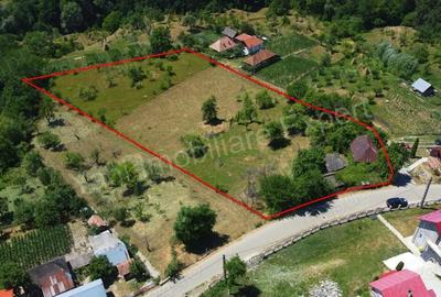 Teren de vanzare in comuna Cicane?ti, sat Bara?ti, jude? Arge?. - 6