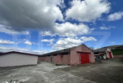 Spațiu comercial, de 356 mp, în Hărău - 2