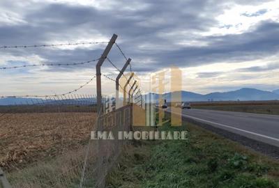 Teren intravilan industrial DN 13 Calea Feldioarei Brasov - 2