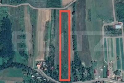 Teren de 12765 mp, în Viile Satu Mare