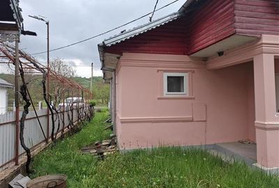 Casă individuală cu 4 camere cu Teren 2360 Mp în Gogoiu - 3