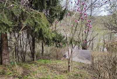 Casă individuală cu 4 camere cu Garaj în Exterior Vest - 21