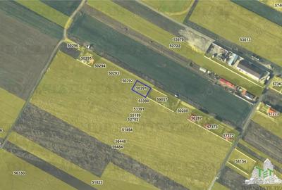 Teren de 428 mp, în Dragomirești-Vale - 2