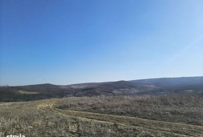 Spațiu comercial, în Tomești - 10