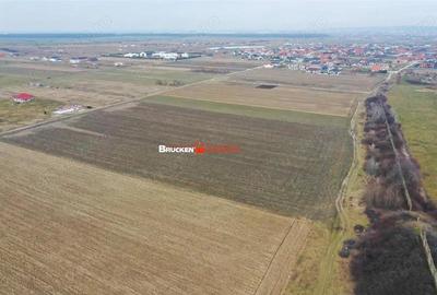 5 PARCELE PENTRU CASA | ZONA REZIDENTIALA I DEZVOLTARE | CIHEI - 4