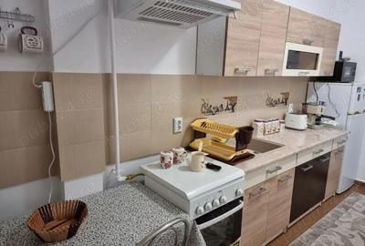 Apartament 2 camere decomandat Dudu - Chiajna 53 mp. - 9