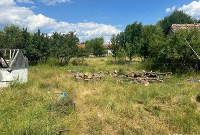 Casa cu teren Remetes Pogonici Caras Severin
