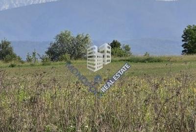 Teren de 896 mp, în Șercaia - 4
