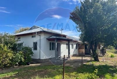Casa 5 camere Bordeasca Veche - 6
