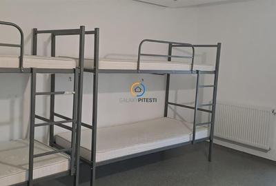 Vila Spatioasa cu 5 camere langa Pitesti - Ideala pentru Gradinita sau Cazare Ec - 4