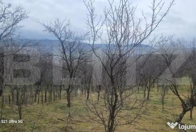 Teren în Schiulești - 7