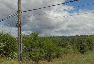 Teren de 5000 mp, în Central - 4