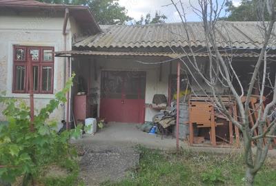 Casă cu 4 camere în Licuriciu - 9