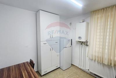 Apartament cu 1 camere de inchiriat in zona Central - 5