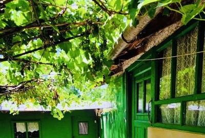 Casă cu 3 camere cu Teren 866 Mp în Ulmu - 6