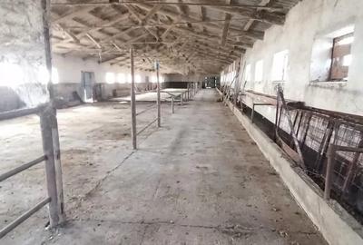 Spațiu comercial, de 2,500 mp, în Siliștea - 1