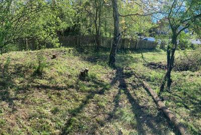 Teren de 2500 mp, în Exterior Vest - 4