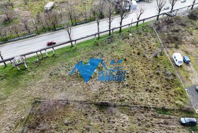 Teren intravilan - Str. Isaccei, 1000MP - 8