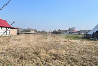 Teren intravilan 2690 mp -Fratautii Vechi - 1