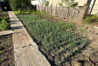 Casă individuală cu 3 camere cu Teren 1167 Mp în Băneasa - 9