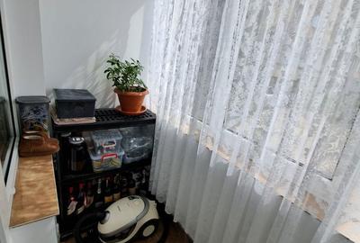 Apartament cu 4 camere decomandat în Vasile Alecsandri - 18