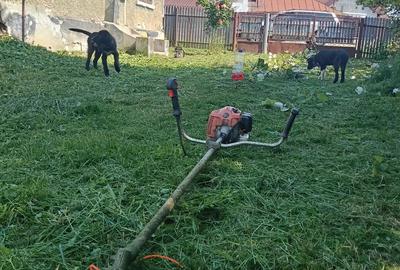 Casă cu 2 camere în Lipănești - 7