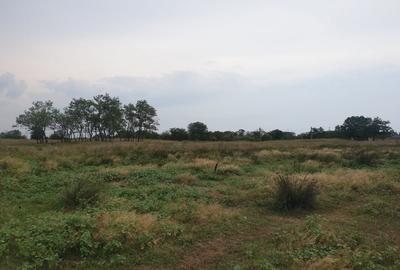 Teren intravilan in Delta Dunarii, C.A. Rosetti - Cardon - 9