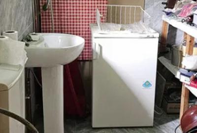 Casă individuală cu 3 camere cu Teren 2651 Mp în Almașu Mare - 4