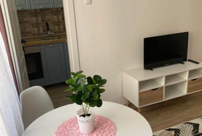 Garsonieră decomandată, mobilată în Mănăștur - 1