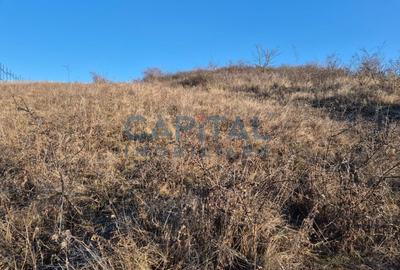 Teren intravilan, 1 000 mp, zona Tausor - 3