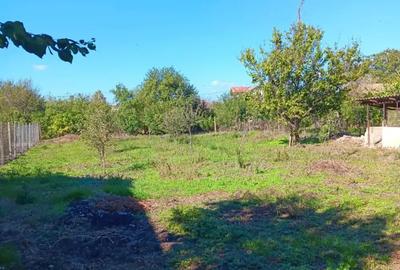 Vand sau schimb casa - 8