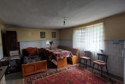 Casă individuală cu 6 camere cu Teren 1175 Mp în Islaz - 15