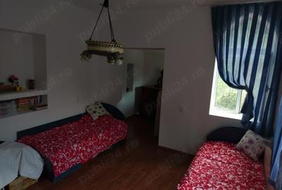 Casă cu 5 camere cu Teren 4200 Mp în Băile Herculane - 2
