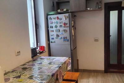 Casă cu 2 camere în Turnișor - 4