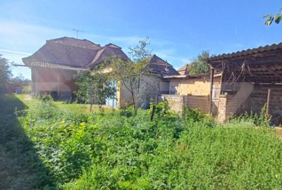 Casa renovabila, 3 camere, 1400 mp teren, in Mihai Viteazu - 2