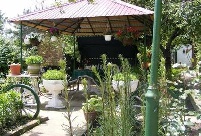 Casă cu 6 camere cu Teren 700 Mp în Cetate - 5