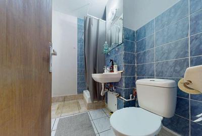 Garsoniera bloc mixt Calea Vitan - Mihai Bravu Garsoniera bloc mixt Calea Vitan - Mihai Bravu - 13