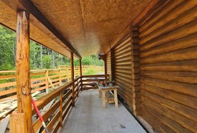 1140mp si cabana Obarsia Lotrului Transalplina 3km partia ski, TOATE UTILITATILE - 6