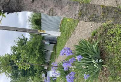 Casă cu 2 camere în Pogana - 8