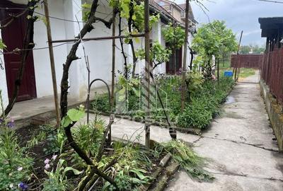 Casă individuală cu 3 camere în Sânandrei